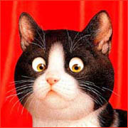 Ok3w.Net -- ���ѡ��